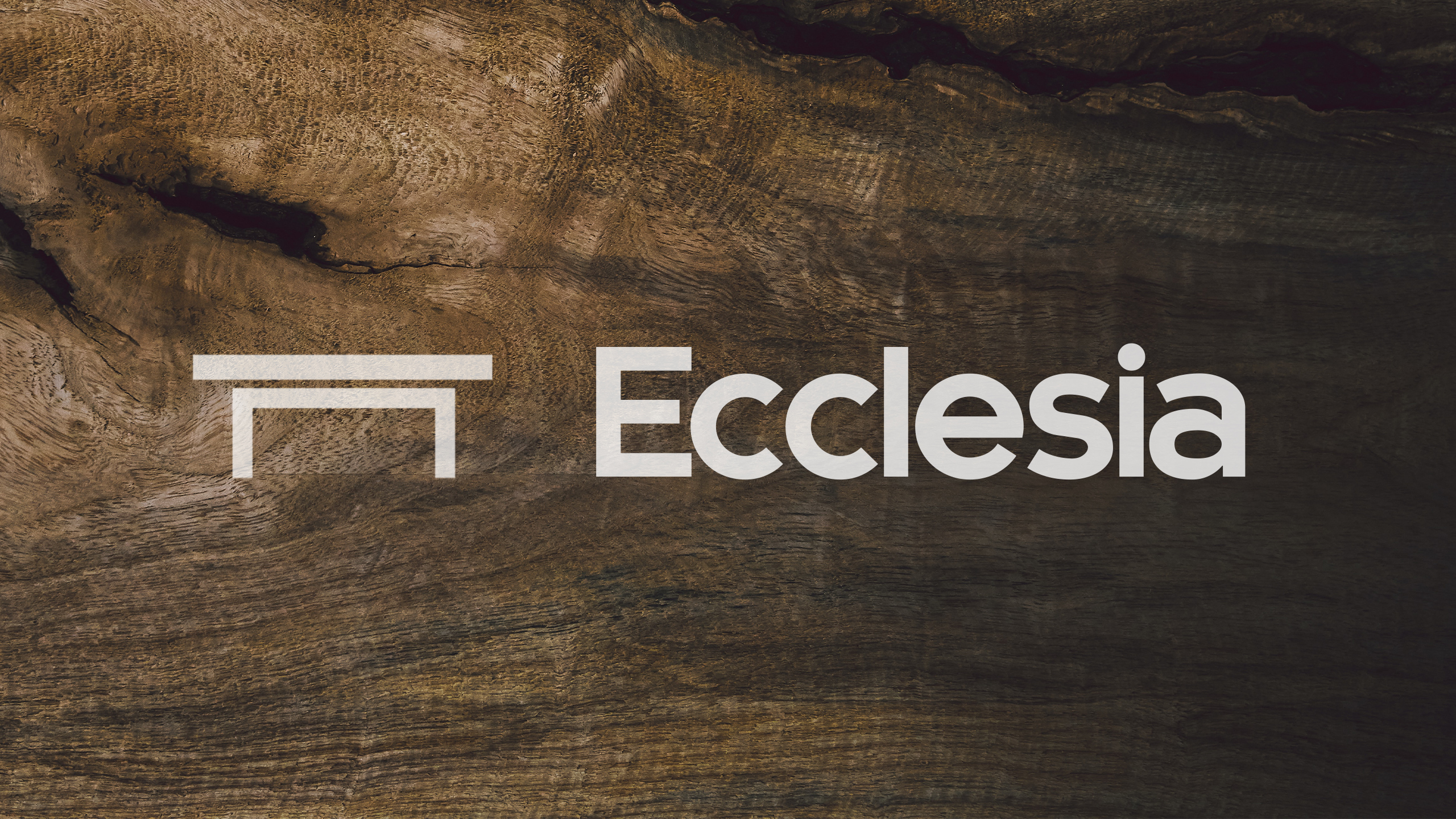 David Chen & Mentoring Team